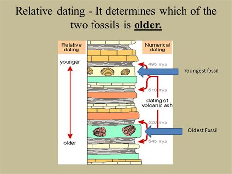 besides relative dating how can scientists determine the age of fossils